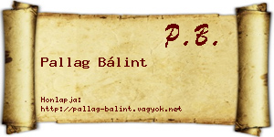 Pallag Bálint névjegykártya