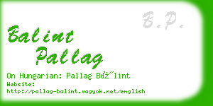 balint pallag business card